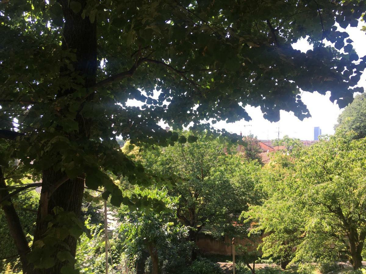 Il Ricciolo B&B Turin Exterior foto